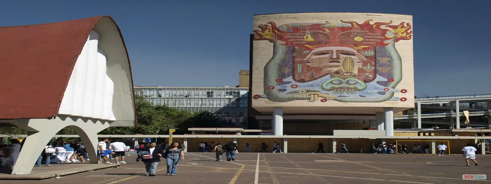 Arquitectura y patrimonio cultural de la UNAM