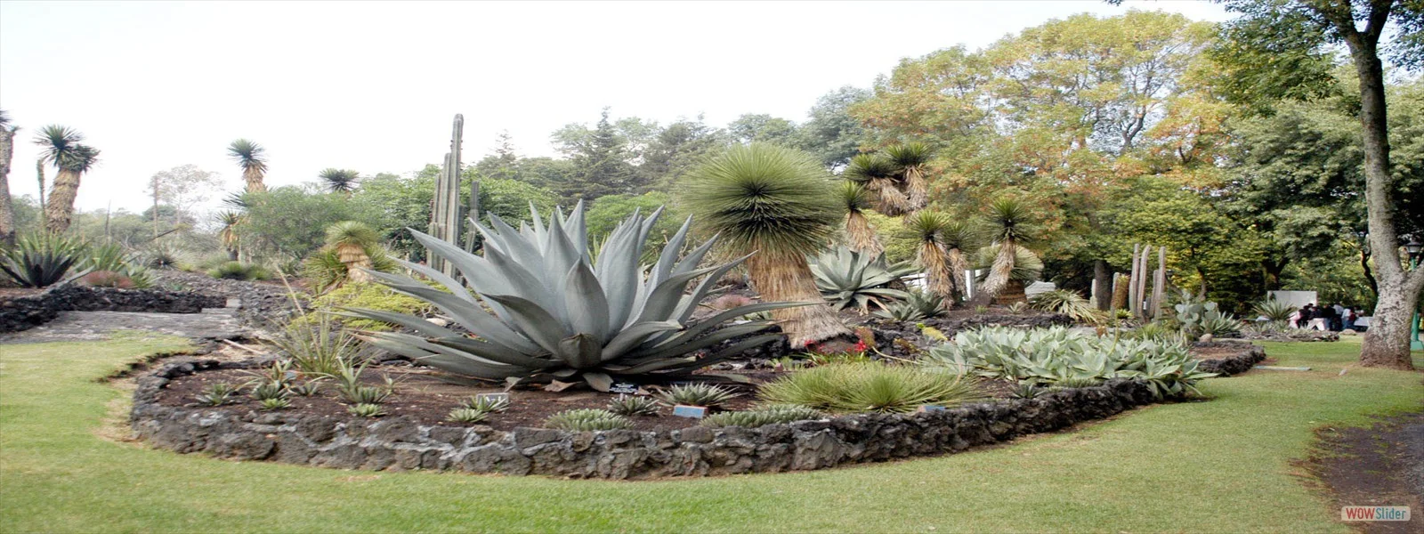 Jardín botánico universitario
